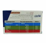 کپسول امگا ویژن دانا ۶۰ عدد - Image 2