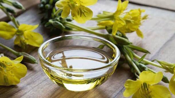 کپسول ژلاتینی روغن گل مغربی برای چیست