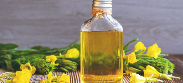 آیا کپسول روغن گل مغربی باعث چاقی می‌شود؟
